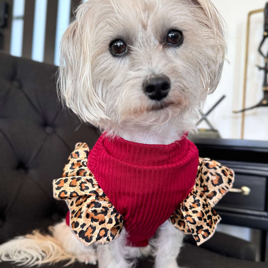 Leah Leopard Frilly Sleeve Top Red