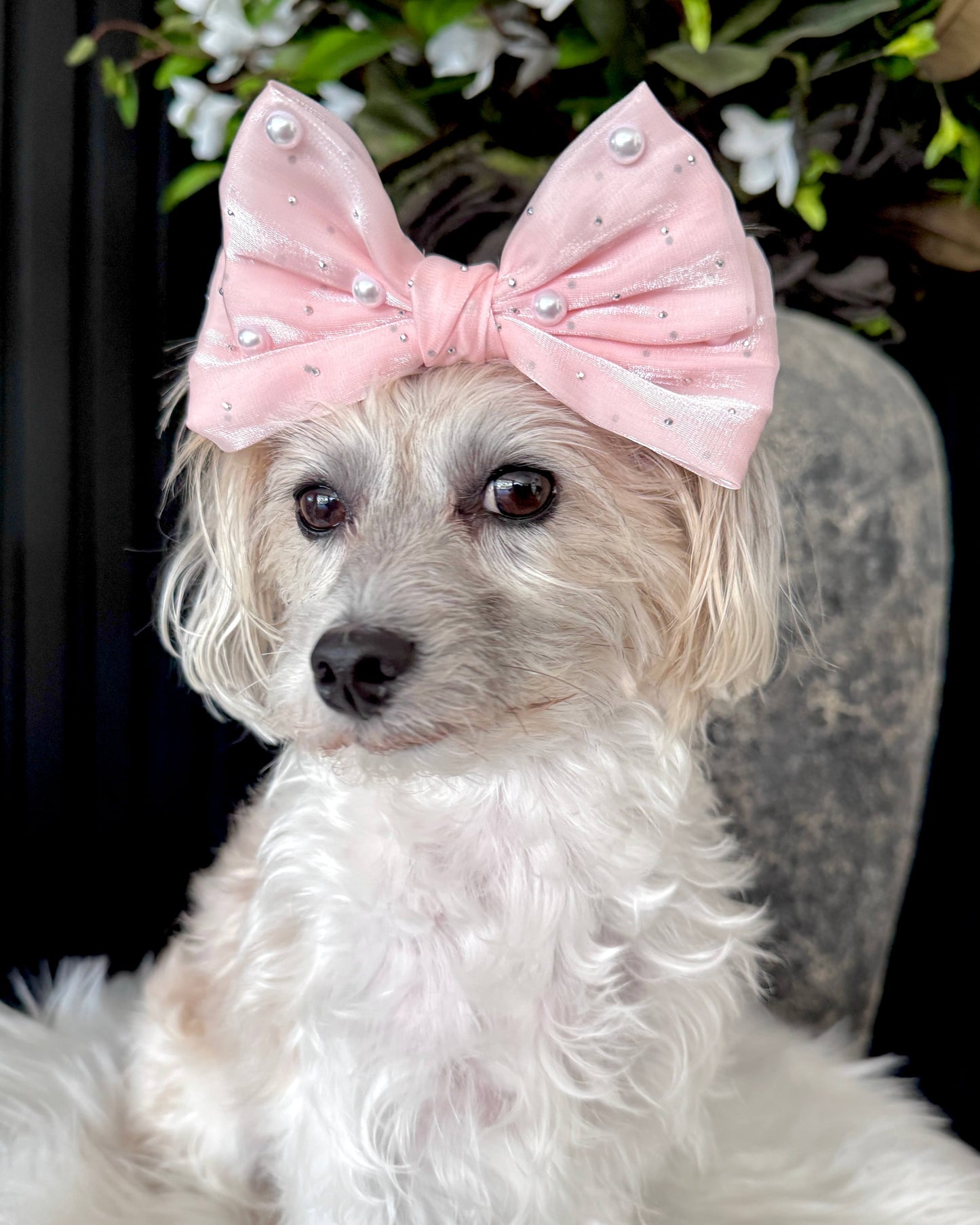 Blush Belle Hair Bow
