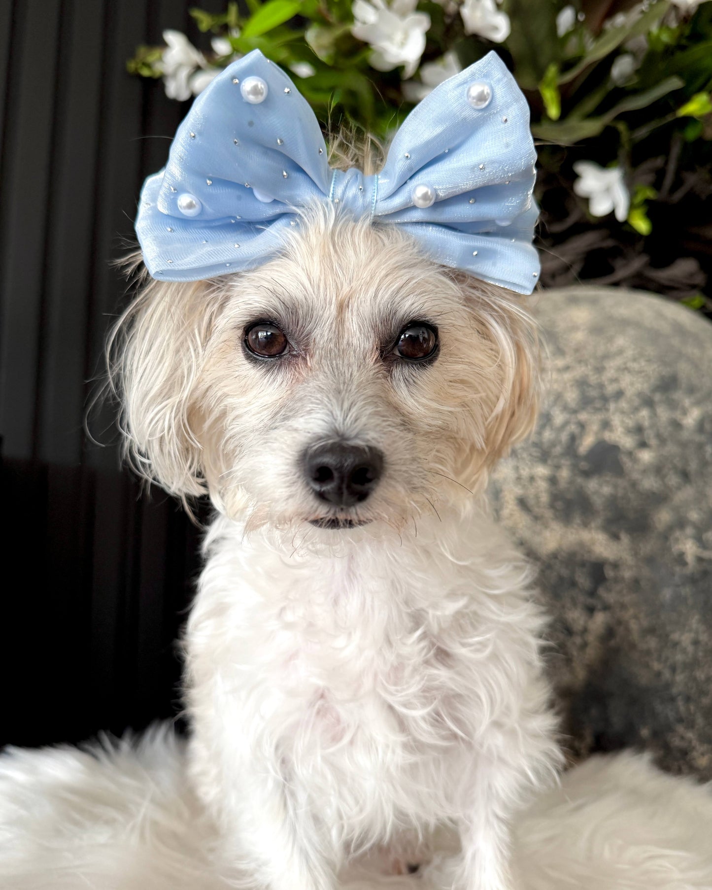 Sapphire Starlet Hair Bow