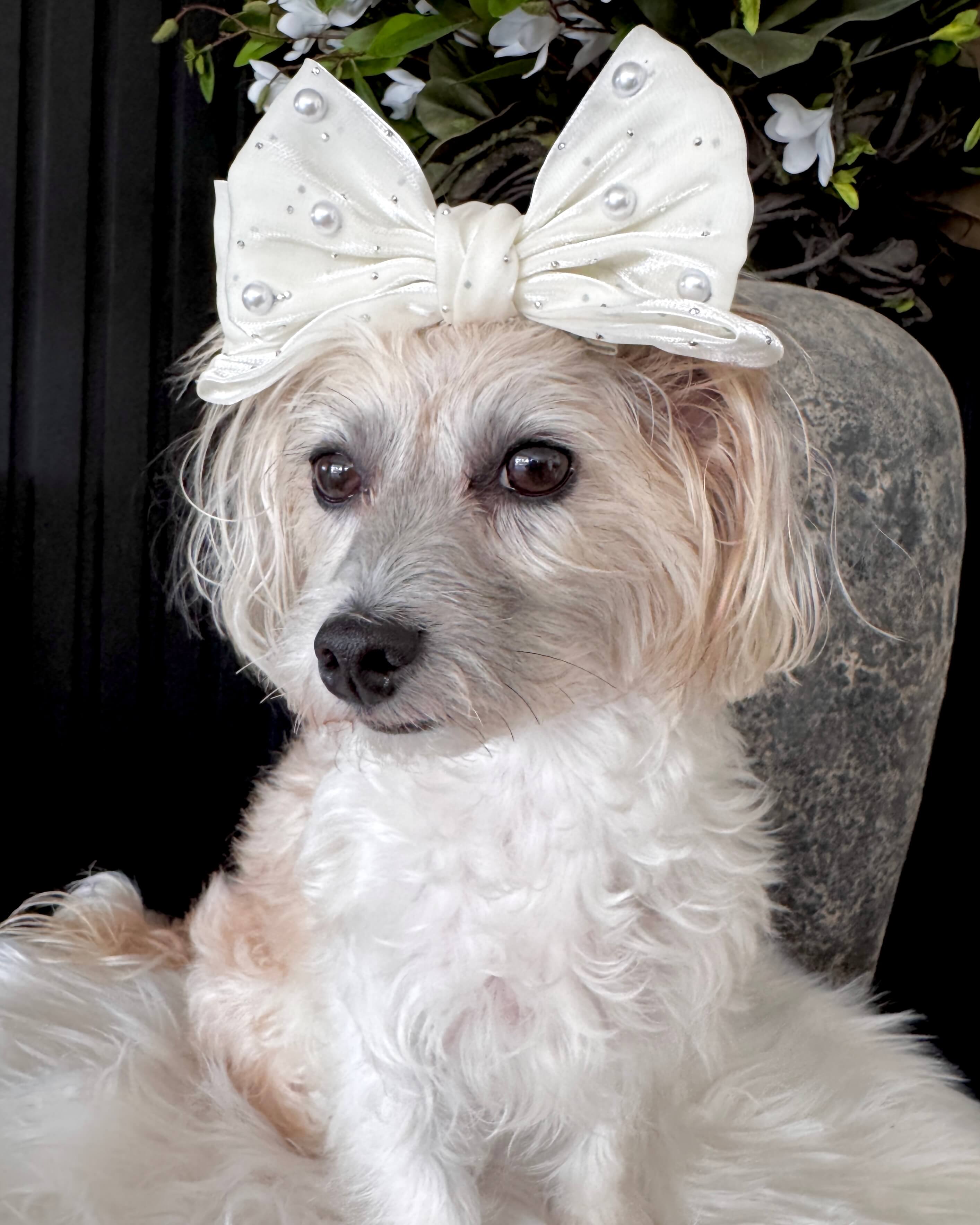 Pearl Princess Hair Bow – tinypawcouture