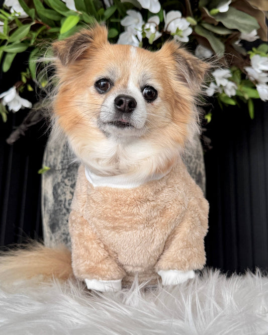 Teddy Jumper Beige