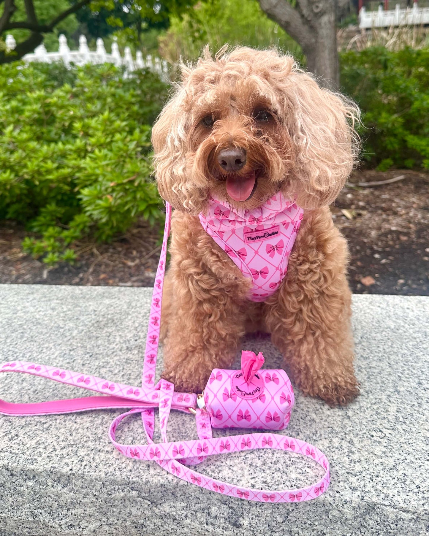 Wet'n'Wild Valentina Bow Set