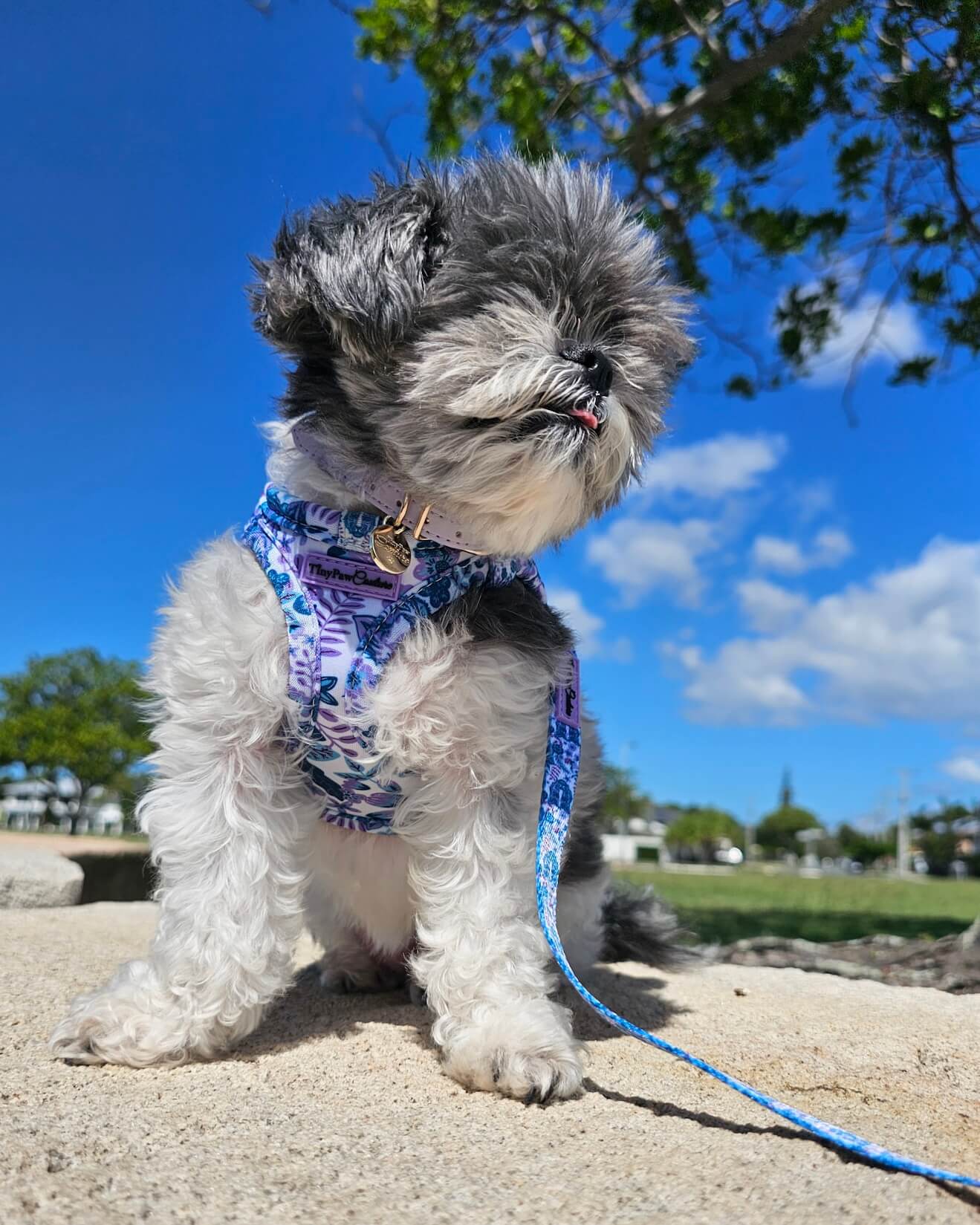 Wet'n'Wild Azure Huntress Harness