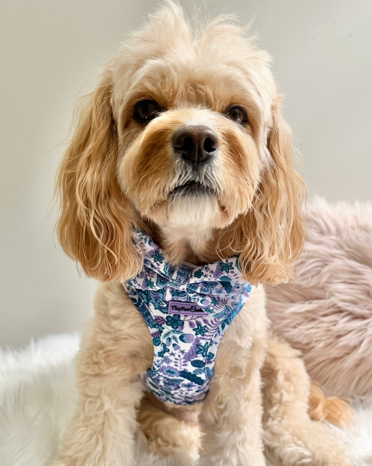 Wet'n'Wild Azure Huntress Harness