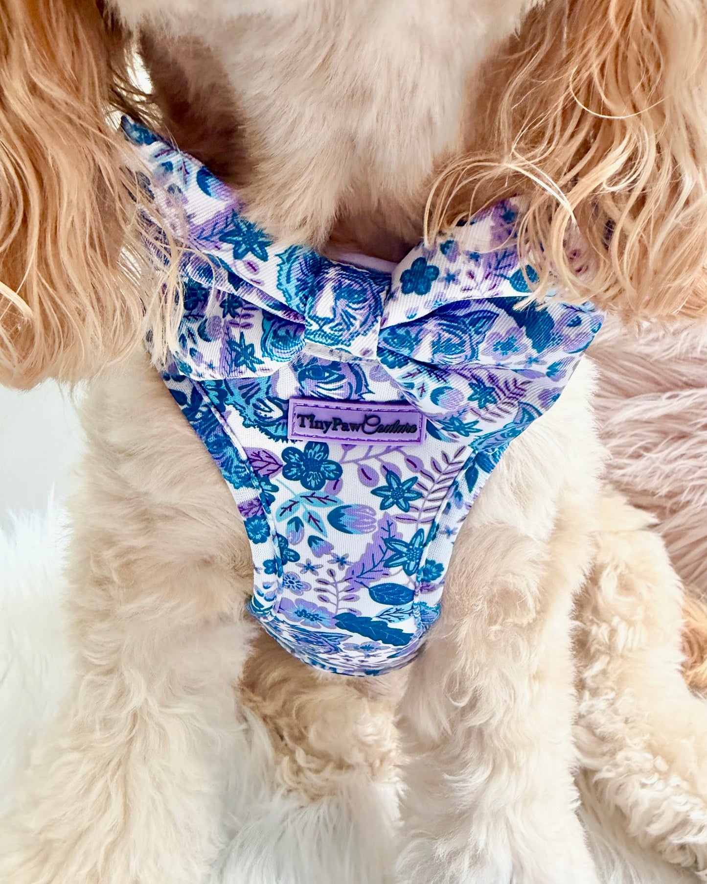 Wet'n'Wild Azure Huntress Bow