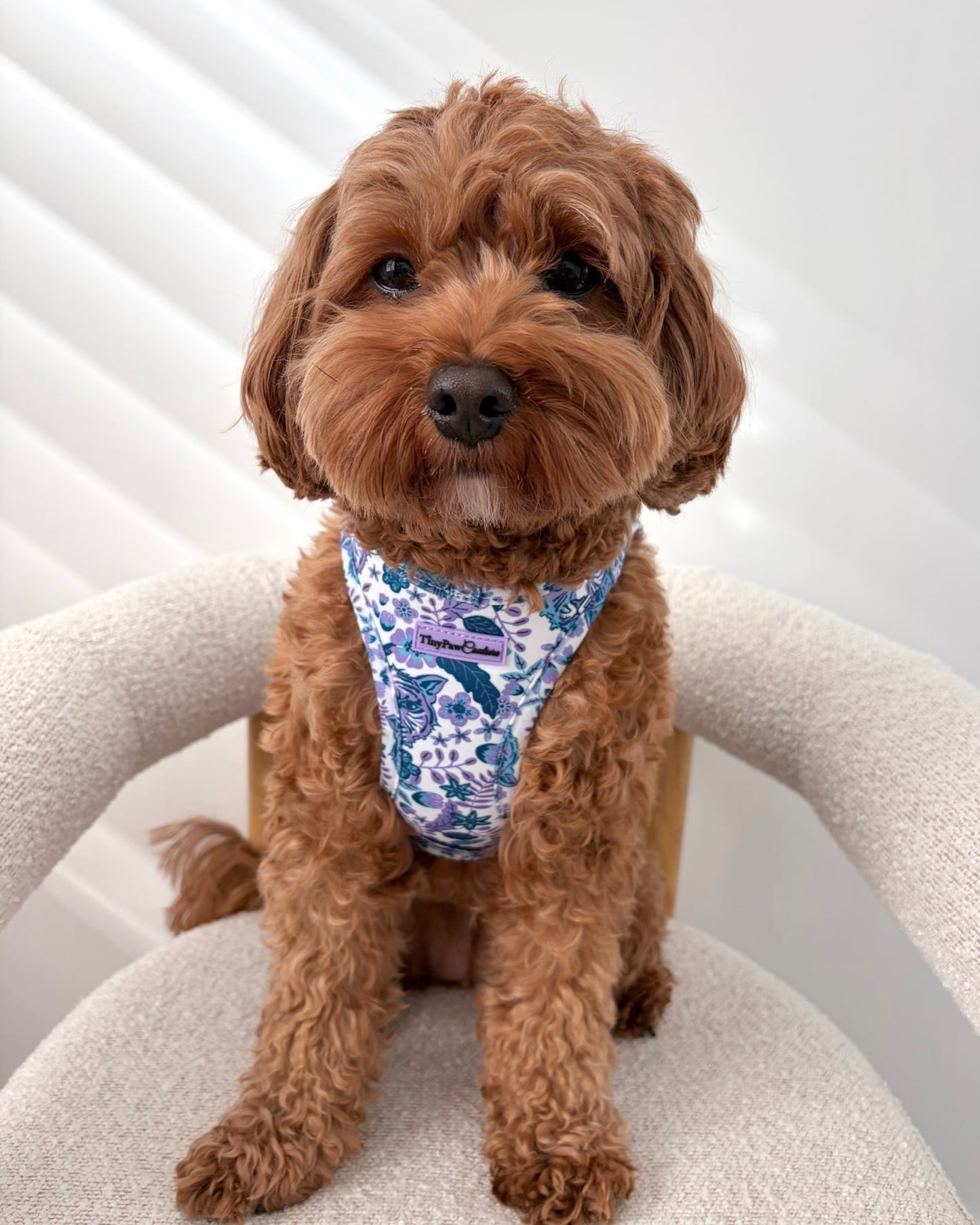 Wet'n'Wild Azure Huntress Harness