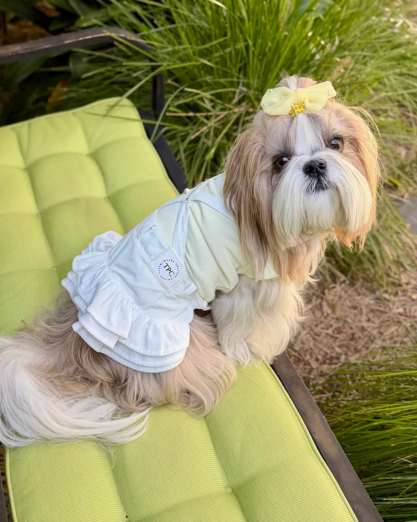 Tiny Paw Couture Signature Suspender Skirt - White Ruffle