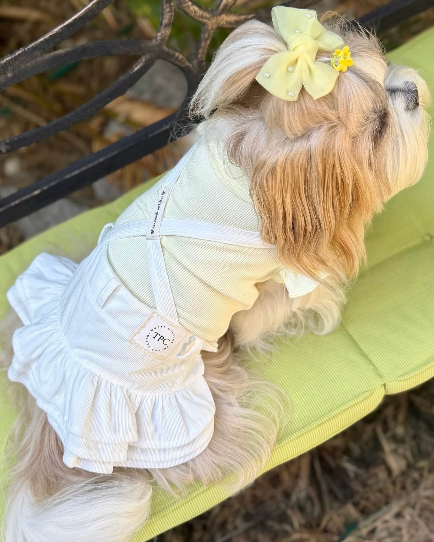 Arabella Frilly Sleeve Top Yellow