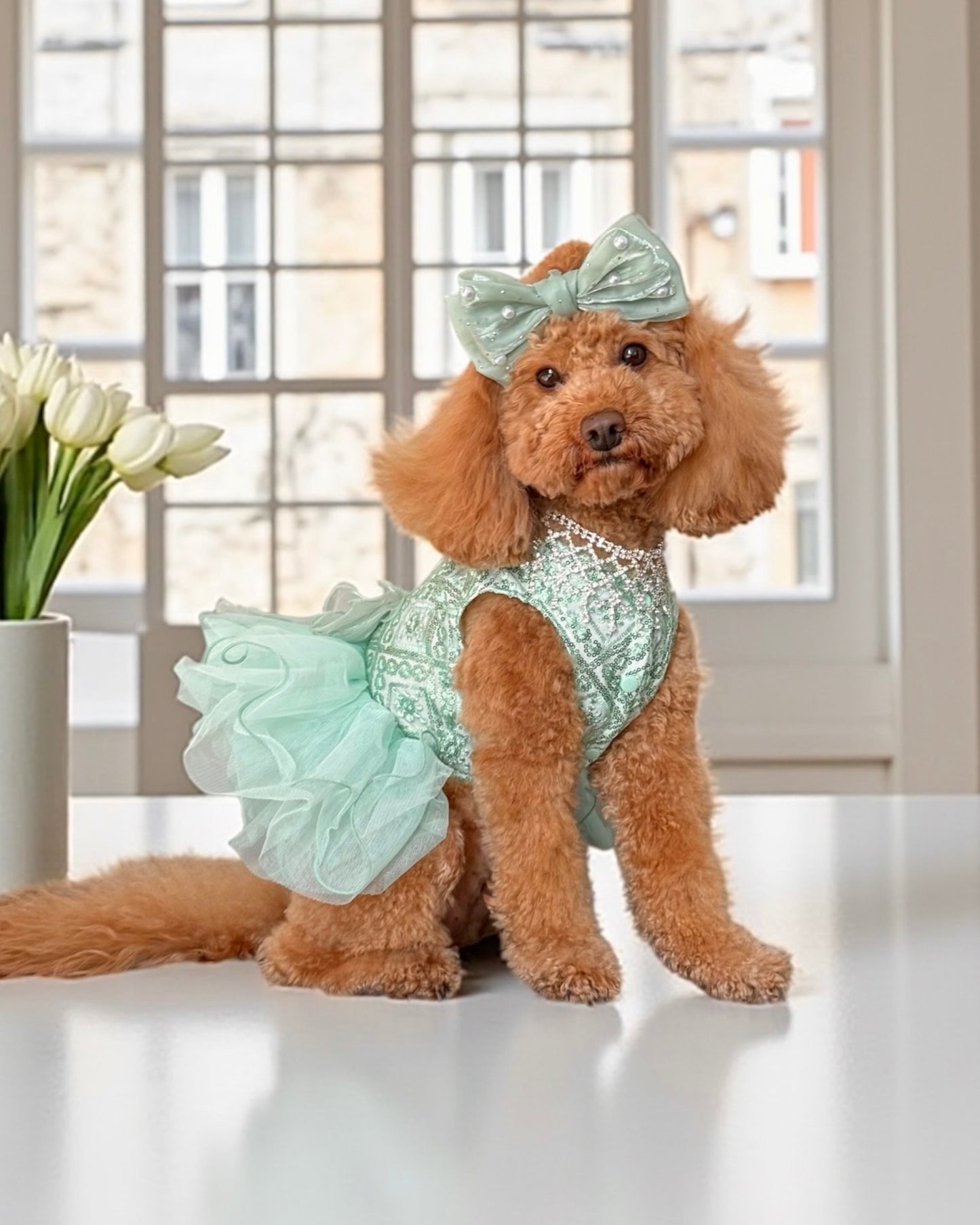 Narissa Deluxe Dress