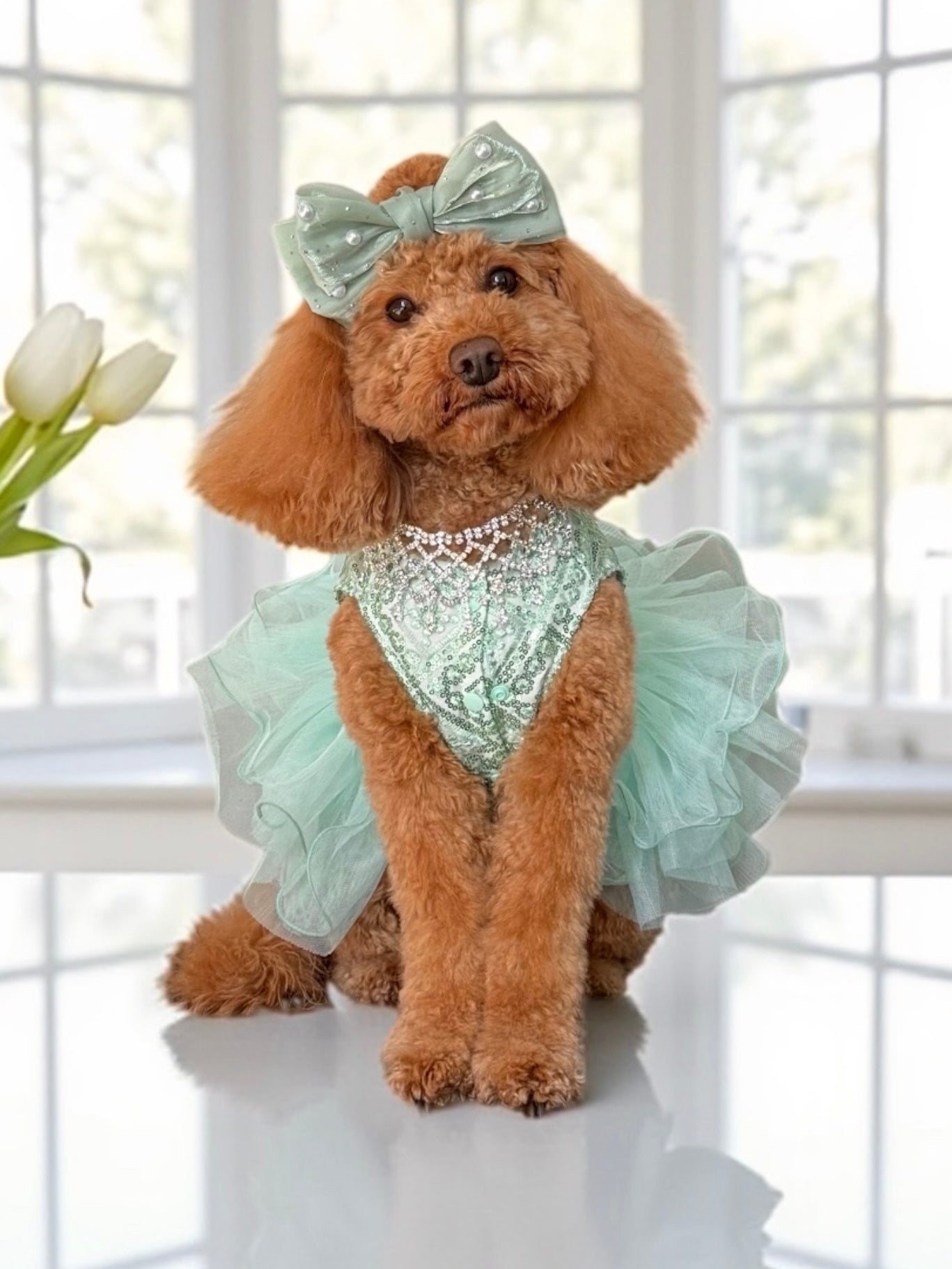 Narissa Deluxe Dress