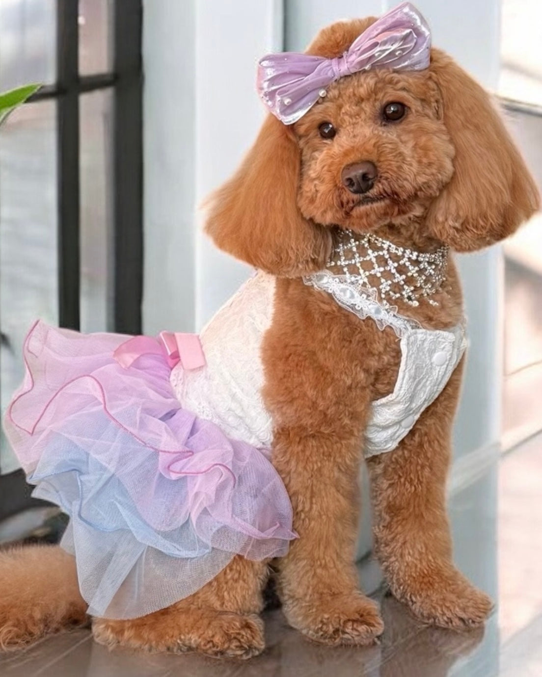 Yolanda Deluxe Dress