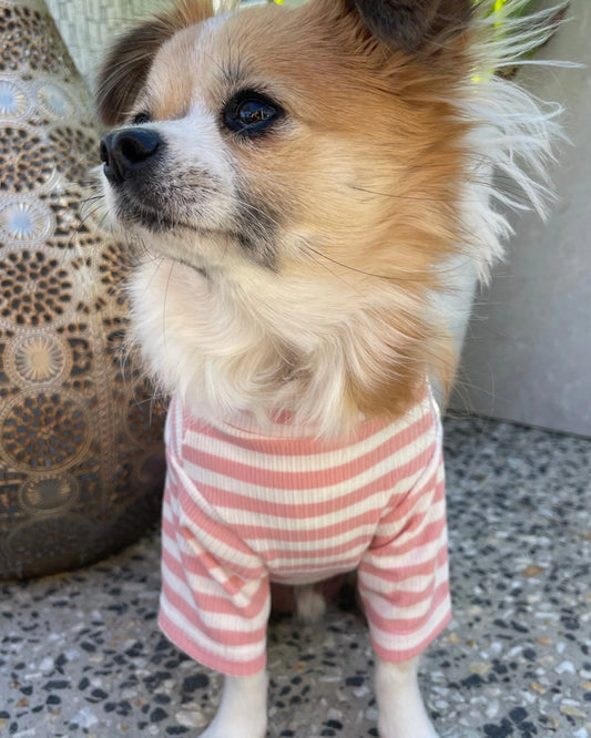 Sammy Striped Top Pink