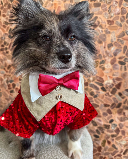 Gentleman Necktie