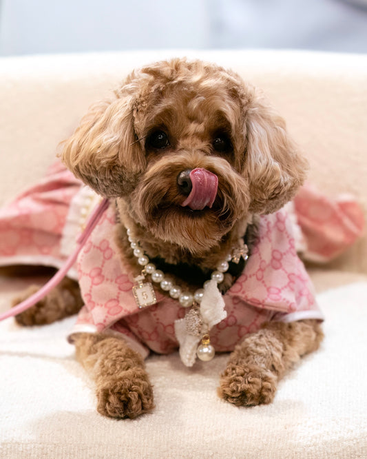 Poochie Pink Dress