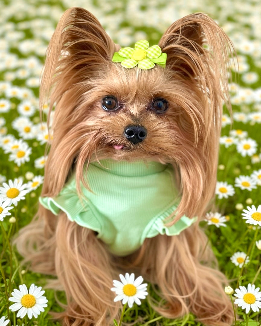 Arabella Frilly Sleeve Top Green