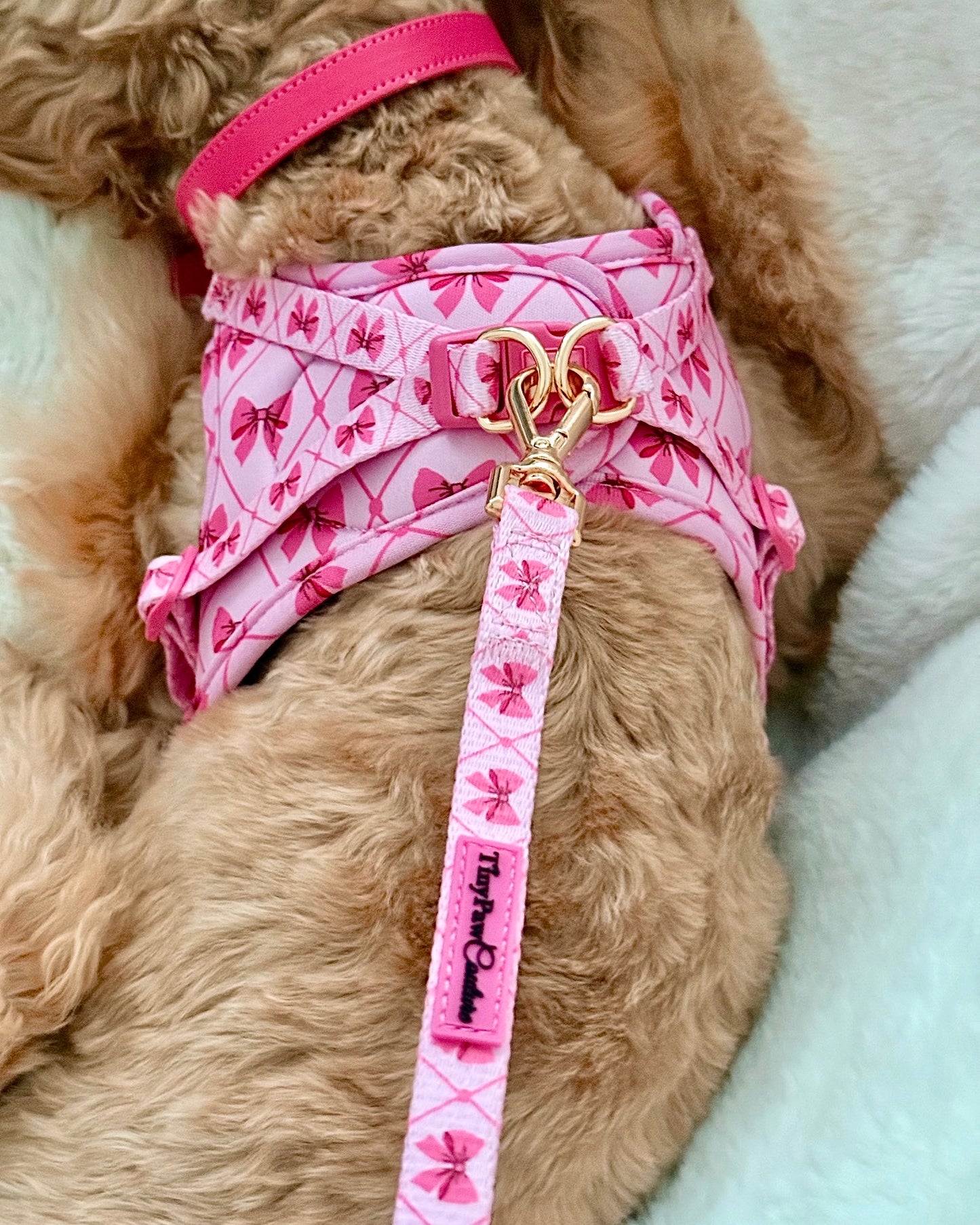 Wet'n'Wild Valentina Bow Harness