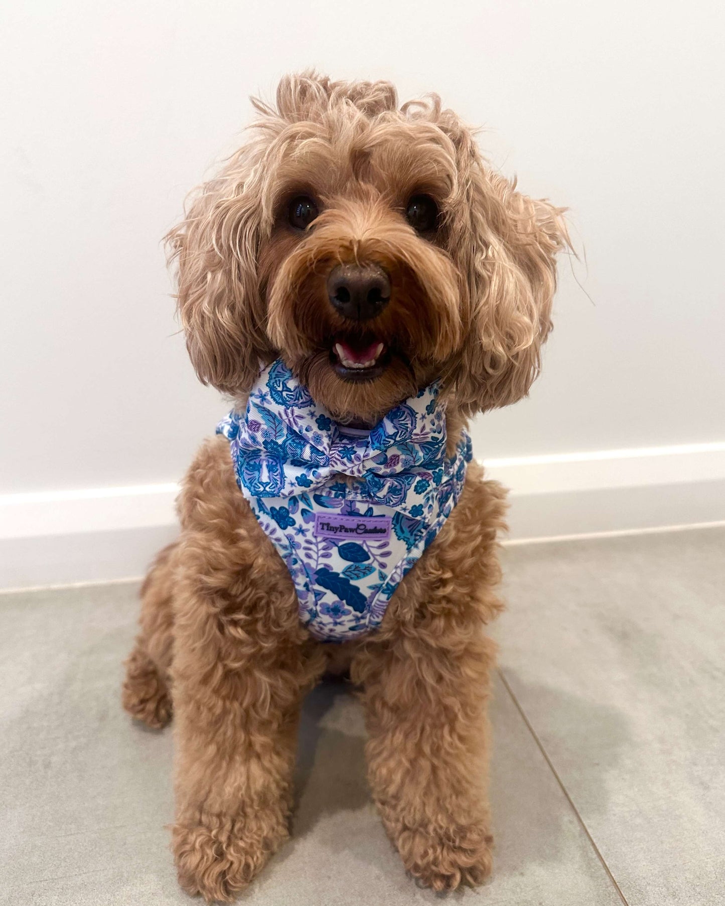 Wet'n'Wild Azure Huntress Harness