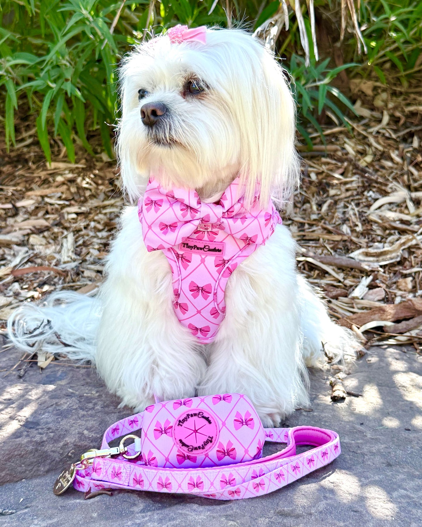 Wet'n'Wild Valentina Bow Set