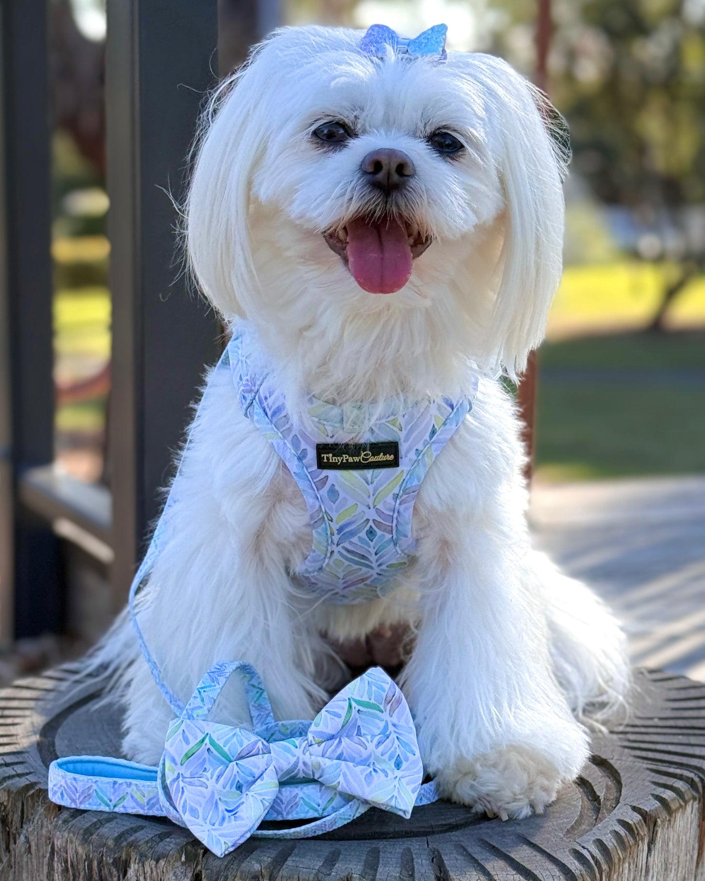 Wet'n'Wild Watercolour Blooms Bow