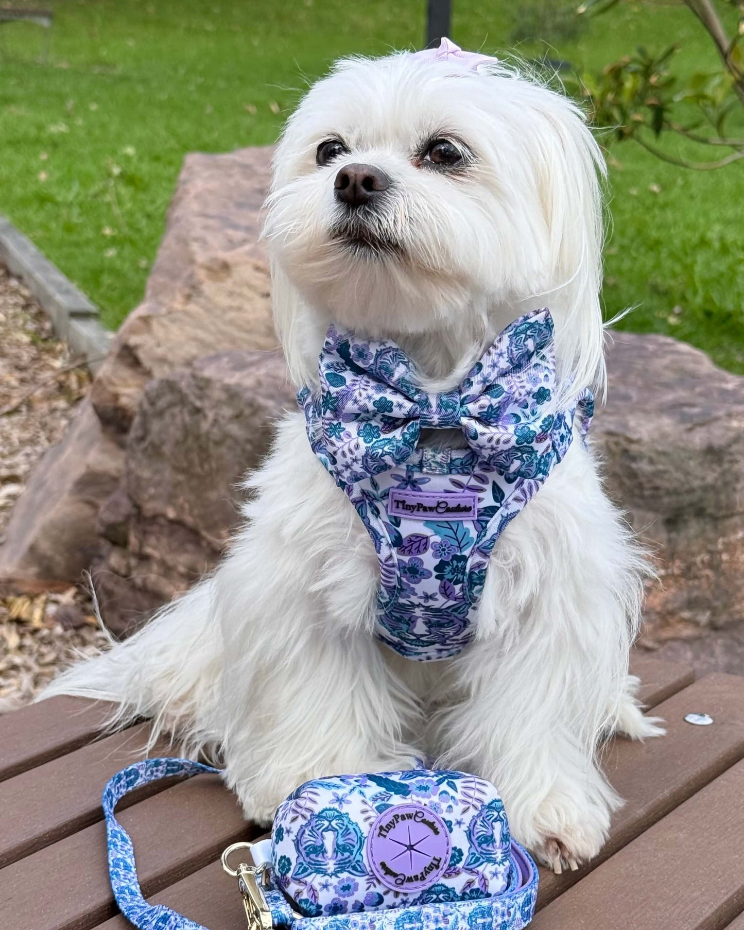 Wet'n'Wild Azure Huntress Harness