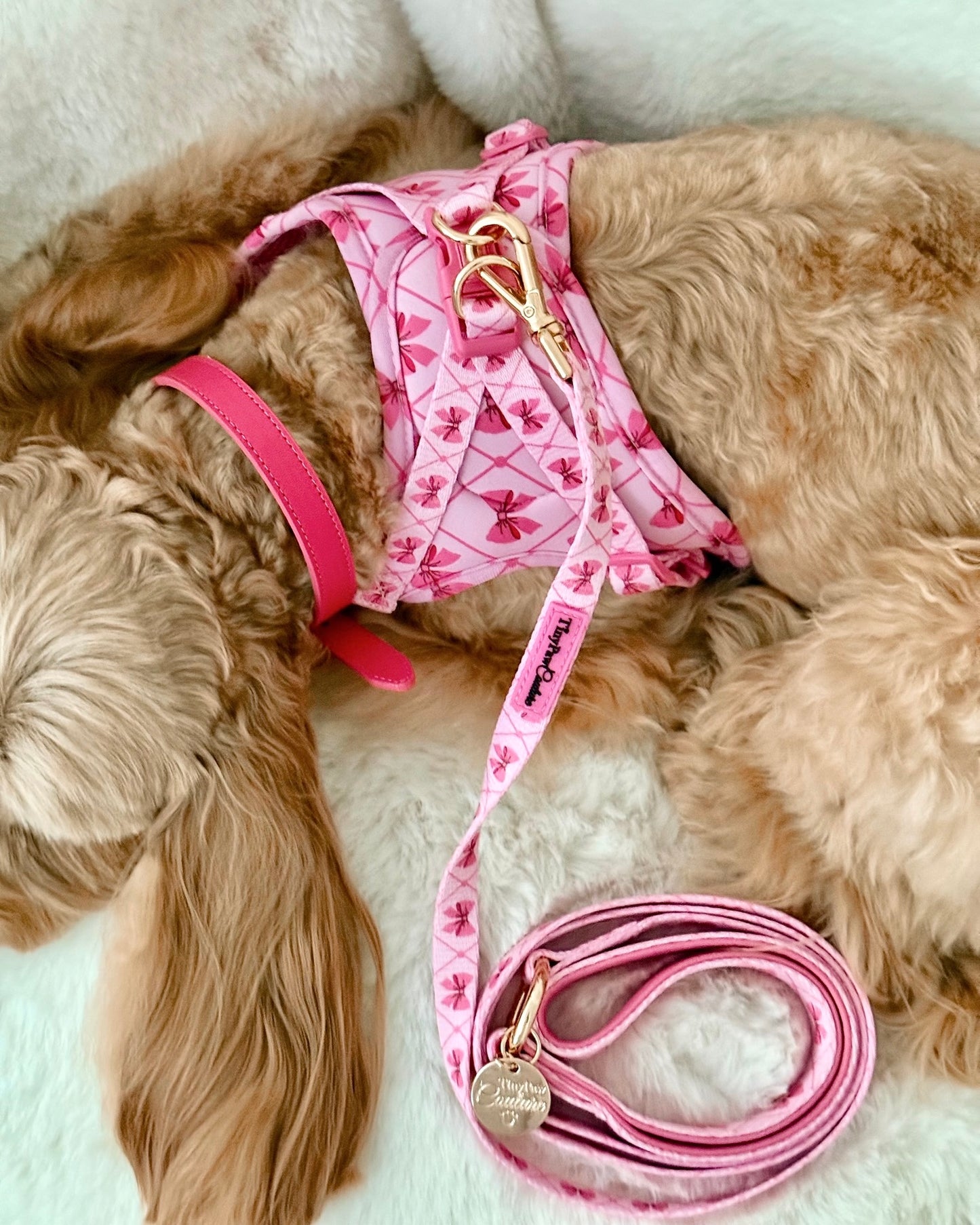 Wet'n'Wild Valentina Bow Harness