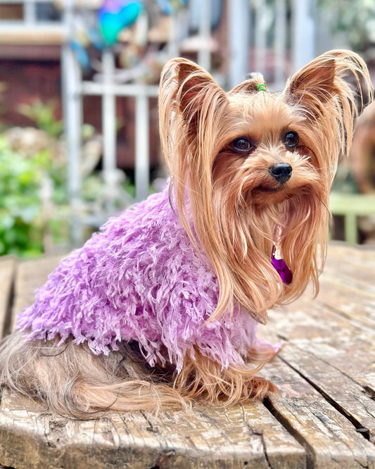 Quinn Feathered Top Purple