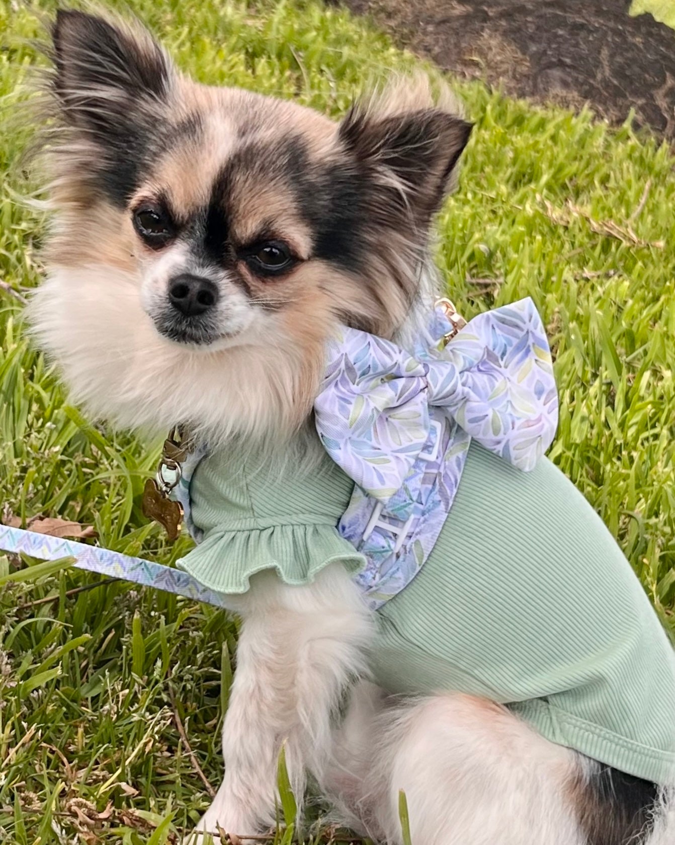 Wet'n'Wild Watercolour Blooms Bow