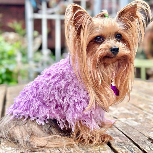 Quinn Feathered Top Purple