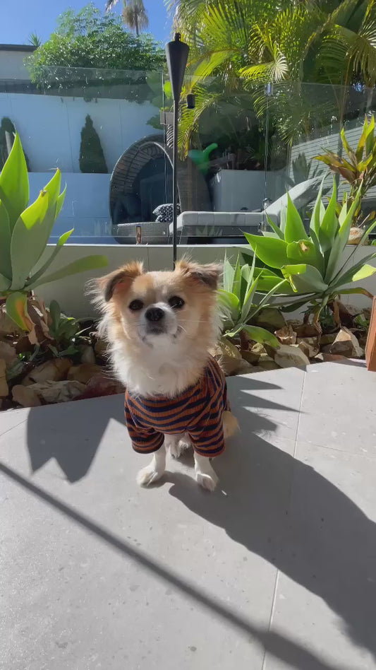 Sammy Striped Top Brown