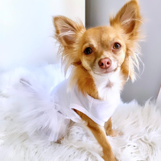 Comfort White Tutu Dress