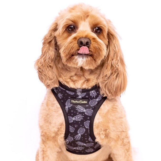 Little Luxe Pineapples Step In Vest Harness